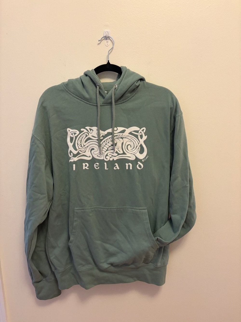Ireland Graphic Hoodie in Sage Green